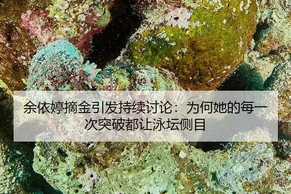yu-yi-ting-zhai-jin-yin-fa-chi-xu-tao-lun-wei-he-ta-de-mei-yi-ci-tu-po-dou-rang-yong-tan-ce-mu-2-424.jpg